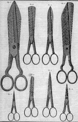 image 250 x 388 - 19.7 ko
